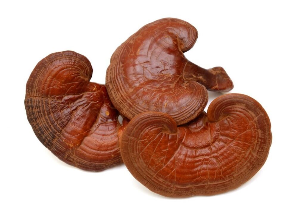 A Predstonorm reishi gombát tartalmaz