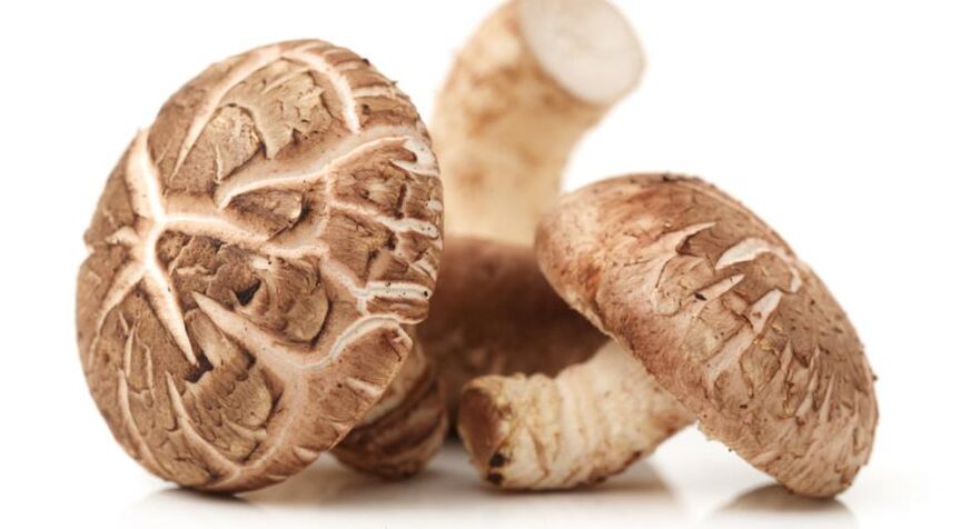 A Predstonorm shiitake gombát tartalmaz